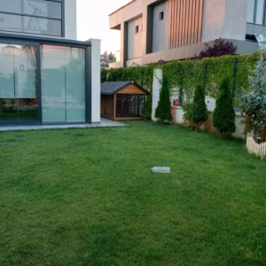 Evcil Hayvan Barakası 1