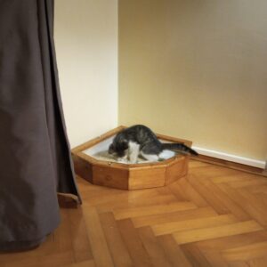 Kedi Tuvalet Kabı 1